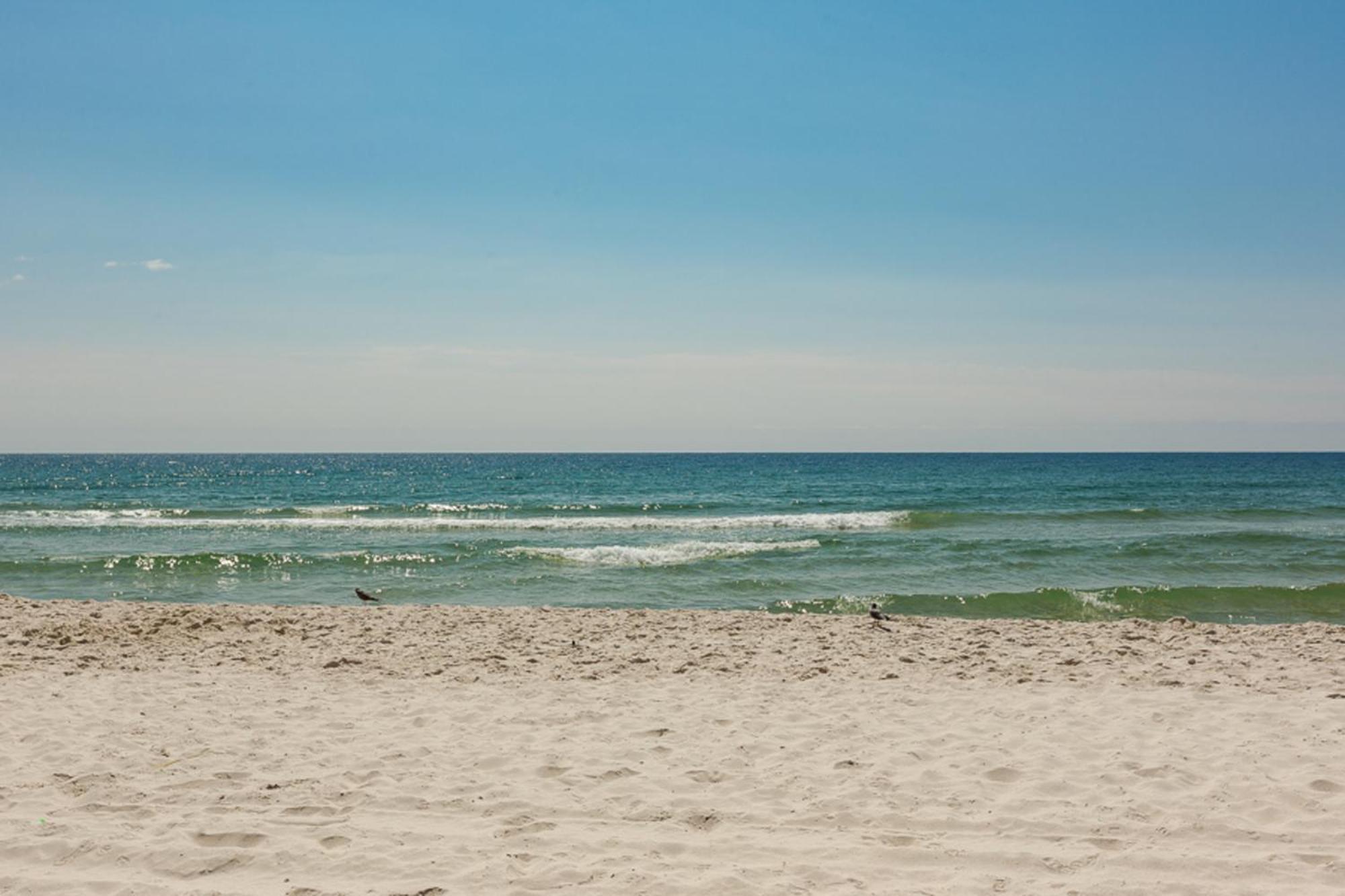 The Beach House Gulf Shores Exteriör bild